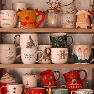 Meet your Posher, Daisy